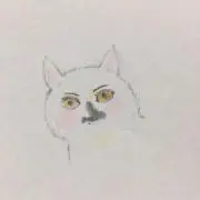 DIA★の画像