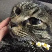 るあ