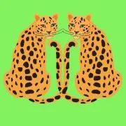ジャックとゴッチの宝箱の画像
