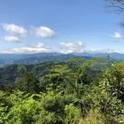 PROの画像