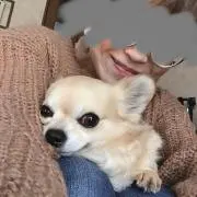 Image of かずみんクローゼット断捨離中