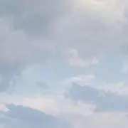 櫻子の画像