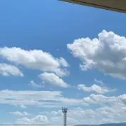 2525ぱんだの画像