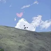 sapi《プロフィール必読》の画像