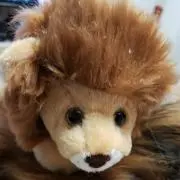 にょろの画像