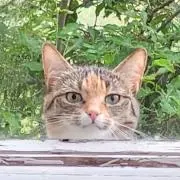 jeanの画像