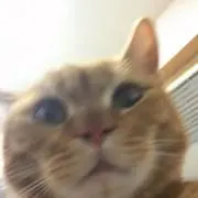 888