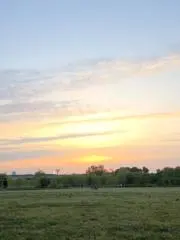 RANの画像