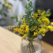 キョン