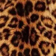 翔の画像