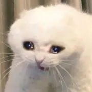 みょの画像