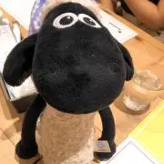yumiの画像