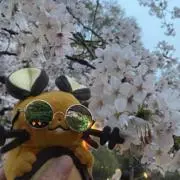 kaomoji