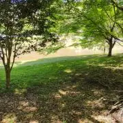 Fieldreamの画像