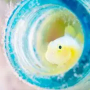風呂好き