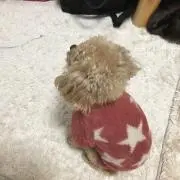 マルエミの画像