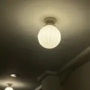 ぽんの画像