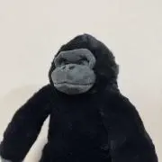 ジョニーの画像