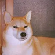 チャチャ