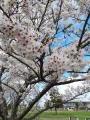 お気に入り(о´∀`о)