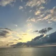 たかしの画像