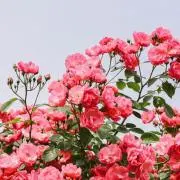 Jun