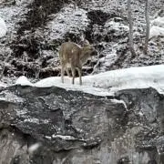 rikupatoの画像