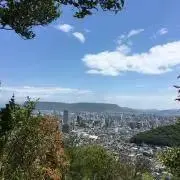 ひかり