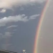 いちご。の画像