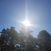 ぺーさまの画像