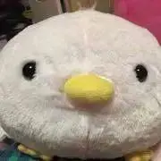 まるぴよの画像