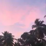miyu 引越しに向け断捨離中の画像