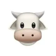 はんにょむちきん