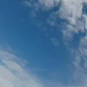 田中の画像