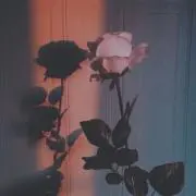 あの画像