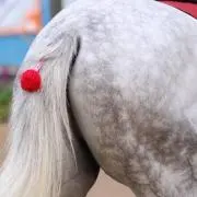 みーさん。