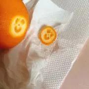 南の画像