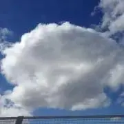Ｙ〜プロフお読みください！〜の画像