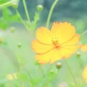 りゅうパパ、りゅうママ