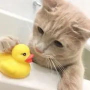 むぎママ ✿*¨の画像