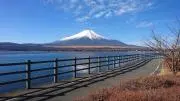 チョビ助の画像