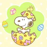 まっちんaの画像