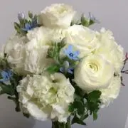 ♡の画像