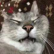 ダイワ スティーズa2tw ※esdハンドルは付きません。 - メルカリ