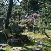 めぐぴよ