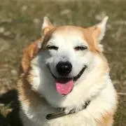 こむこむ太郎