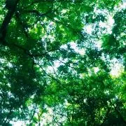 ばんばんじー
