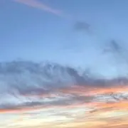 はなはなの画像