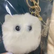 iceの画像