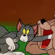 yの画像